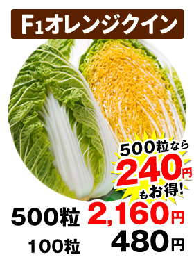 オレンジクイン