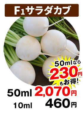 サラダカブ