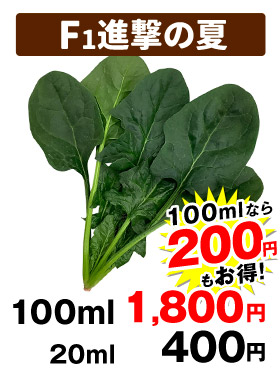 進撃の夏