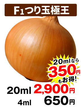 つり玉極王