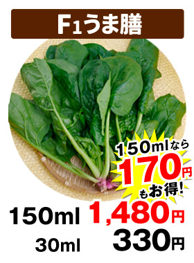 うま膳