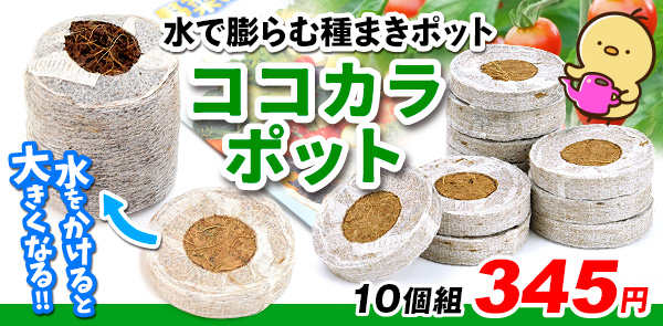 ココカラポット