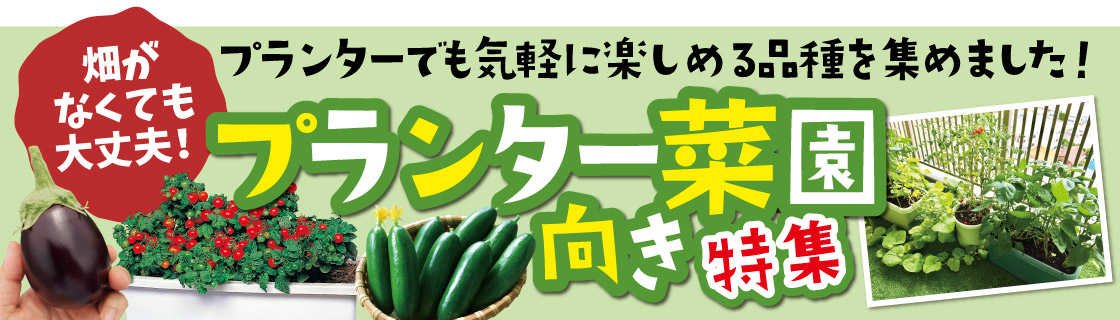 プランター菜園向き