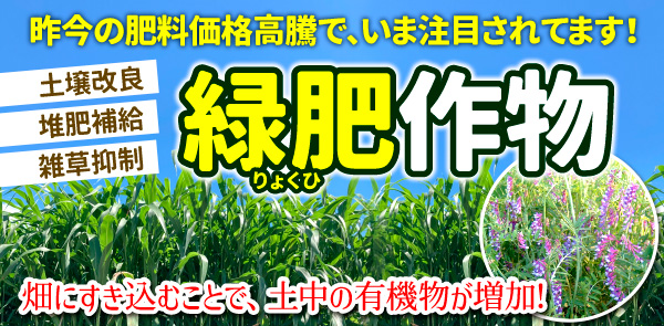 緑肥作物