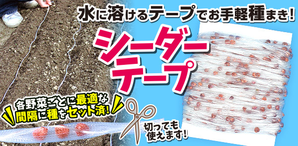 シーダーテープ