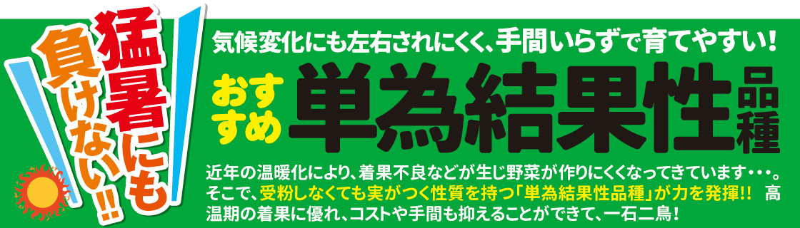 単為結果性品種