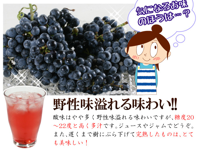 ヤマソーヴィニヨン03