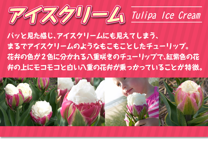 アイスクリーム