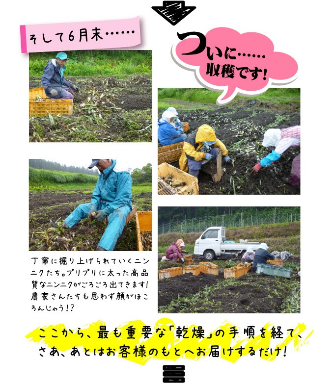 福地ホワイト六片