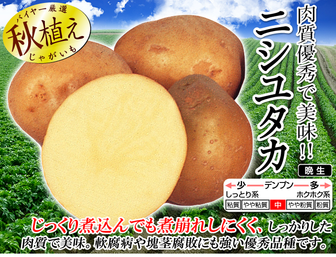 ニシユタカ