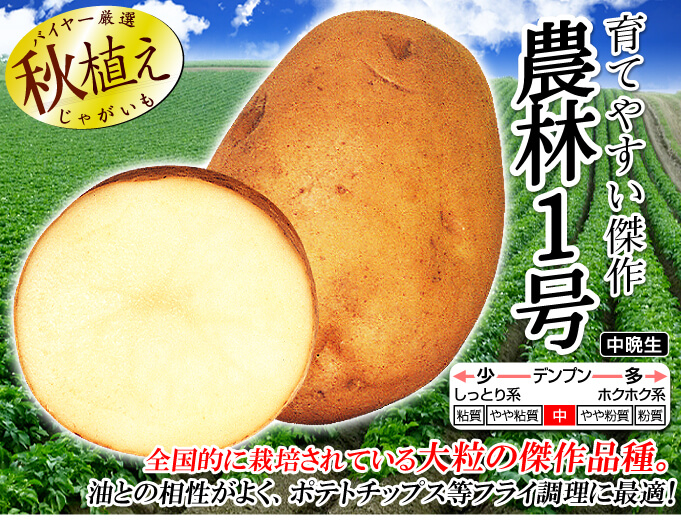 農林1号