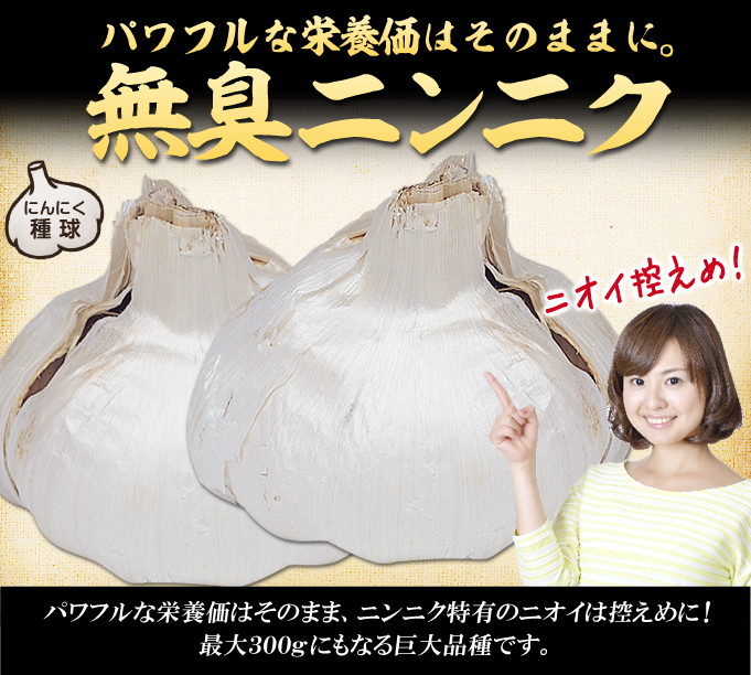 無臭ニンニク