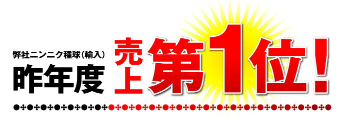 嘉定にんにく1