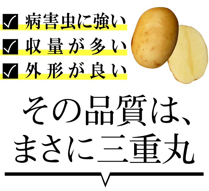 さんじゅう丸