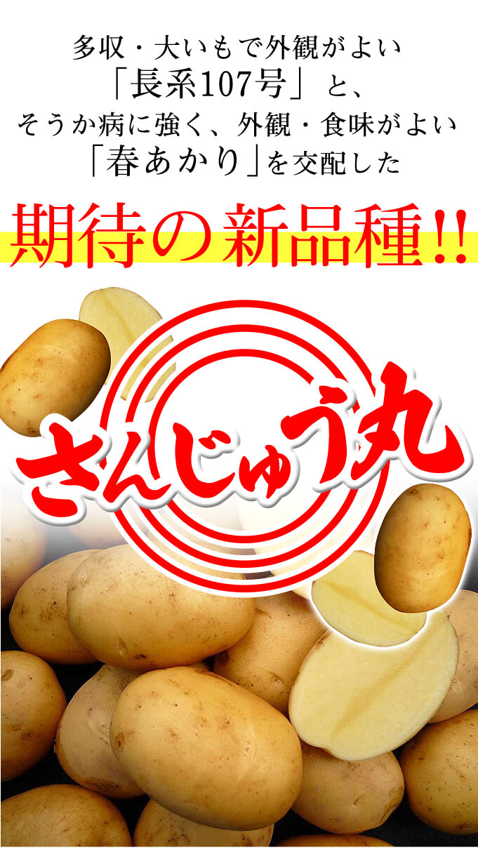 さんじゅう丸