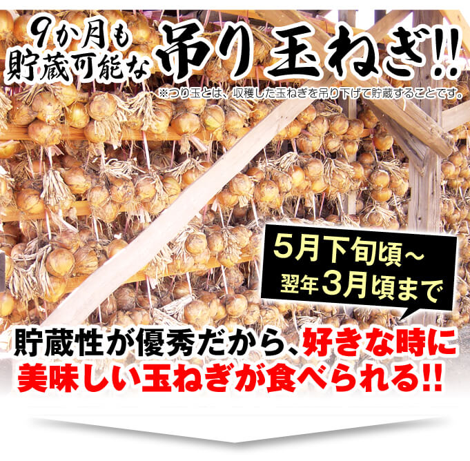 つり玉パーフェクト・紹介01
