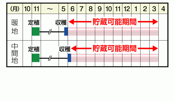 つり玉パーフェクト・貯蔵期間