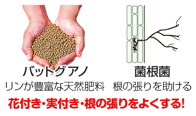 かる～い培養土配合肥料