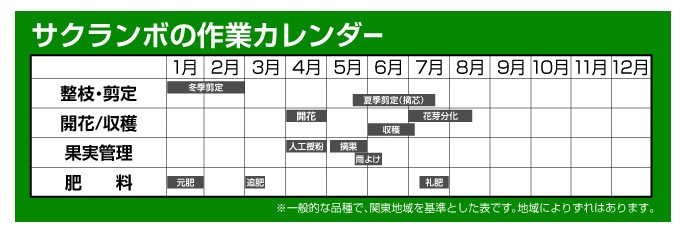 サクランボの作業カレンダー