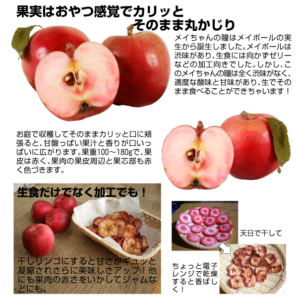 メイちゃんの瞳の果実