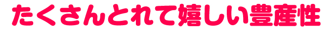 豊産性スモモ・マーキュリー