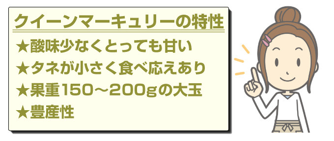 スモモ クイーンマーキュリーの特徴