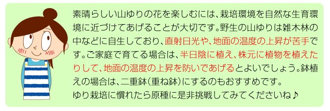 山ユリ03
