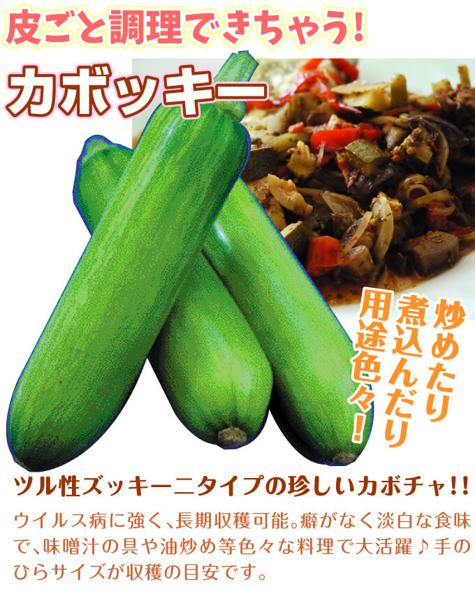 カボッキー