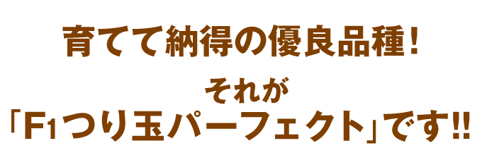 つり玉パーフェクト・優良y品種