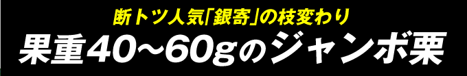 ジャンボ栗・タイトル