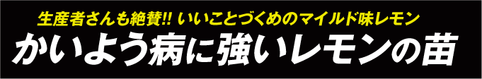 レモン・璃の香