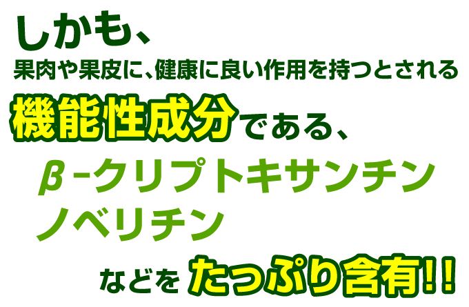 かんきつ中間母本農6号・β-クリプトキサンチン