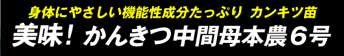 かんきつ中間母本農6号・機能性成分