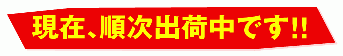 只今出荷中