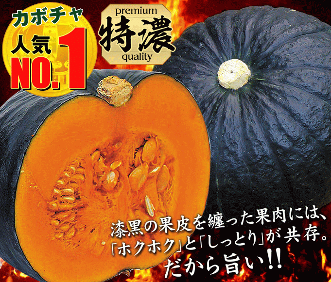 極王かぼちゃ・紹介01