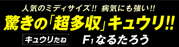 なるたろう・紹介01