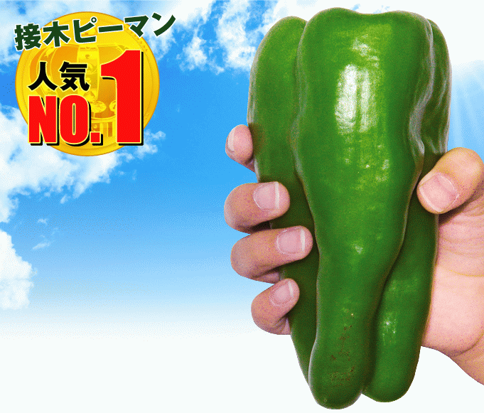 スイートロング・GIF