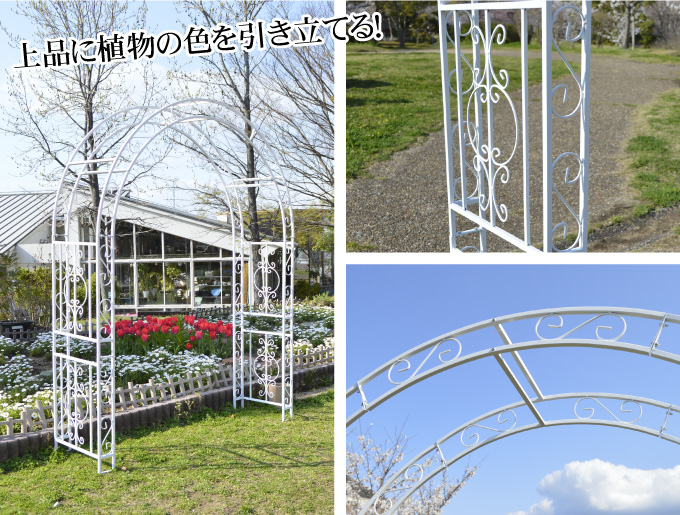鉄製アーチ・咲白