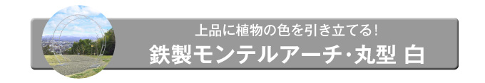 鉄製モンテルアーチ丸型