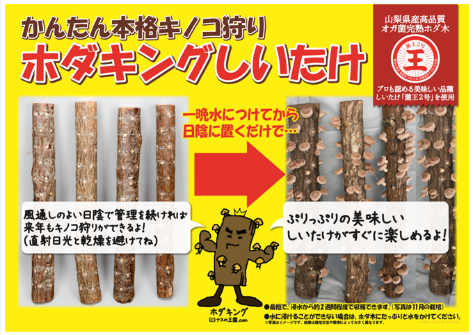 ホダキング