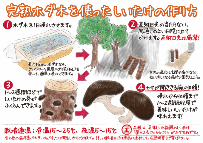 ホダキング