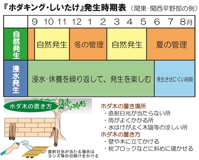 ホダキング
