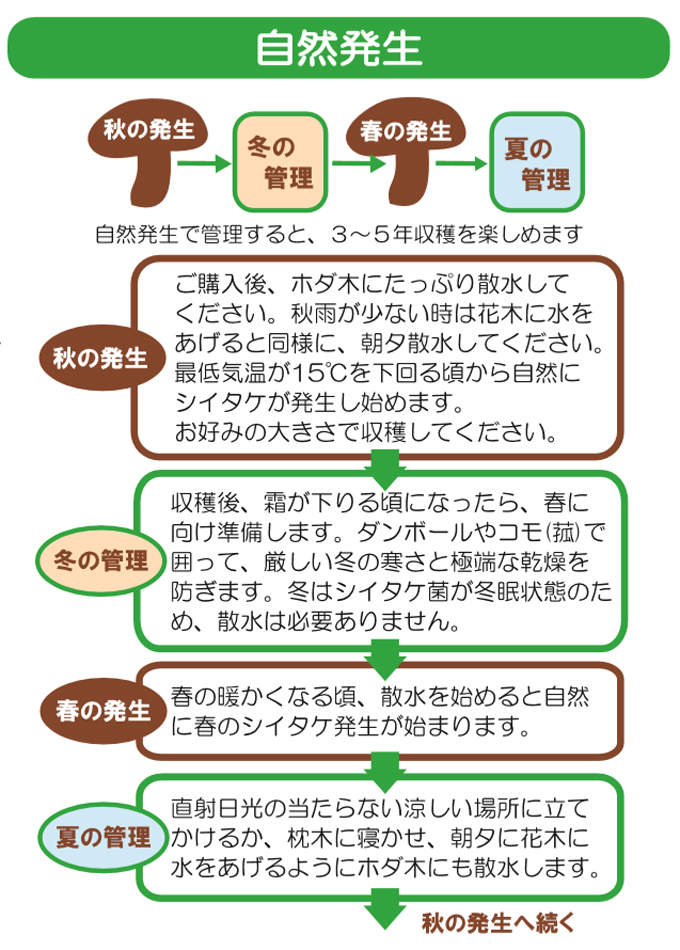 ホダキング