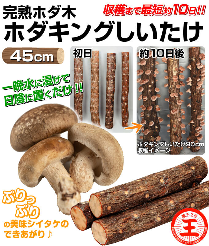 ホダキング