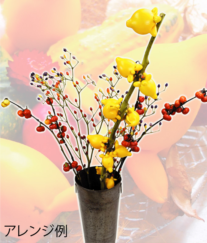 花種 とげなしつのなす