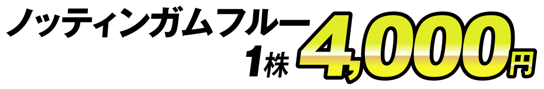 価格4000円