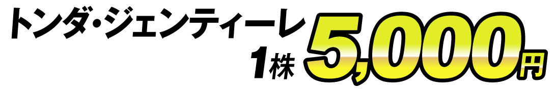 価格5000円