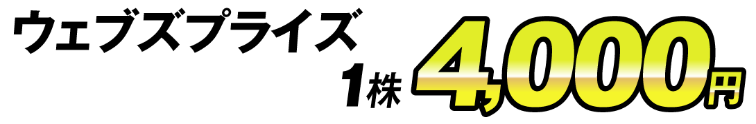 価格4000円