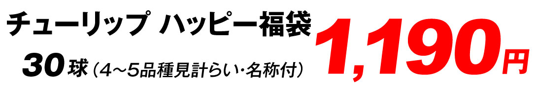 ハッピー福袋価格