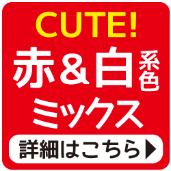 いちご